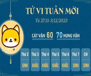 Tử vi tuần mới của 12 con giáp từ 27/11 - 3/12/2023: Tý lắm tiền, Tuất dính vào thị phi