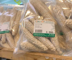 Ảnh bìa bài viết 909923