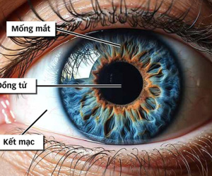 Mống mắt là gì, vì sao được thu thập làm dữ liệu căn cước?