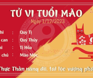 Tử vi thứ 6 ngày 1/12/2023 của 12 con giáp: Mão vượng tài, Mùi nóng vội