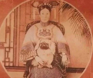 Sướng như chó cưng của Từ Hi Thái hậu: Được cung phụng như 'Tiểu a ca', đi tàu hỏa có hẳn toa riêng