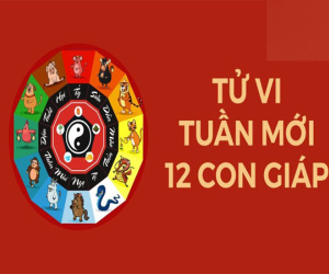 Tử vi tuần mới của 12 con giáp từ 4 – 10/12/2023: Tý có vận may tài chính, Dần đột phá