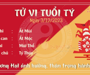 Tử vi chủ nhật ngày 3/12/2023 của 12 con giáp: Thìn nhận thưởng, Ngọ hào hứng