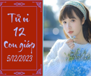 Tử vi thứ 3 ngày 5/12/2023 của 12 con giáp: Mão đa nghi, Thân thuận lợi