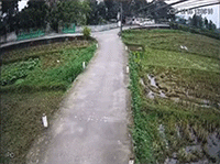 Vào cua tốc độ cao mất kiểm soát, xe con 'nằm phơi bụng' dưới ruộng lúa