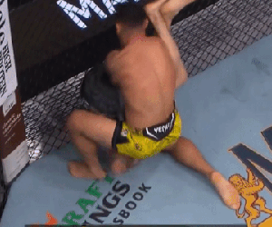 Cú knock-out của năm: Võ sĩ gây sốt với đòn bế thốc rồi quật mạnh đối thủ xuống sàn