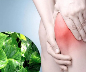 Loại rau rẻ tiền bán đầy chợ, mùa đông người Việt nên ăn theo cách này để giảm đau xương khớp