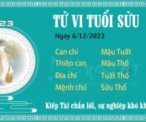 Tử vi 12 con giáp hôm nay - thứ 4 ngày 06/12/2023: Sửu khó khăn, Thìn cẩn thận tiểu nhân