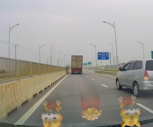 Tước bằng lái của tài xế lùi xe trên cao tốc