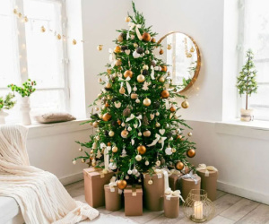 Đặt cây thông Noel thế nào cho phù hợp phong thủy?