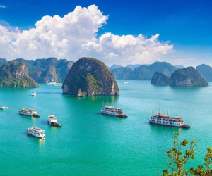 Lý do Việt Nam được chọn là điểm đến lý tưởng cho năm mới 2024