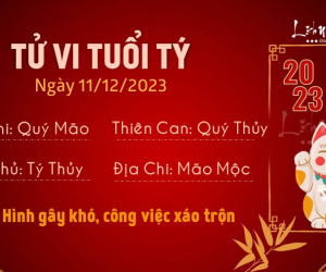 Tử vi thứ 2 ngày 11/12/2023 của 12 con giáp: Tý gặp xáo trộn, Tị vượng tài