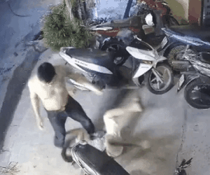 Bị từ chối hợp tác, người đàn ông kiếm cớ đánh đập dã man con trai của đối tác để trả thù