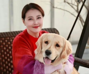 Căn nhà nơi Châu Hải My sống những ngày cuối đời cùng đàn thú cưng