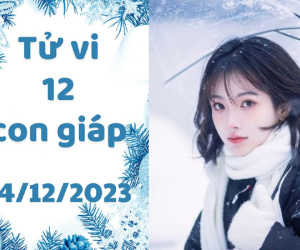 Tử vi thứ 5 ngày 14/12/2023 của 12 con giáp: Thìn thảnh thơi, Dậu lắm lộc