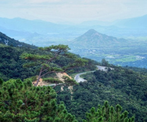 Lặng nhìn bức tranh phong cảnh đẹp ngơ ngẩn của Ninh Thuận