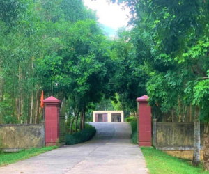 Cặp đôi gây ra 100 vụ trộm két sắt và lời thề 'ai bị bắt, người còn lại tự tử'