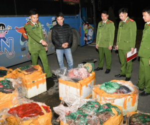Liên tiếp phát hiện thực phẩm bốc mùi hôi thối trên đường đi tiêu thụ