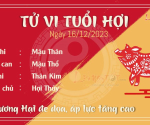 Tử vi thứ 7 ngày 16/12/2023 của 12 con giáp: Tý như ý, Mùi khó tính