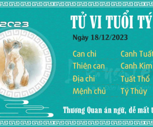 Tử vi thứ 2 ngày 18/12/2023 của 12 con giáp: Dần gặp quý nhân, Dậu phiền muộn