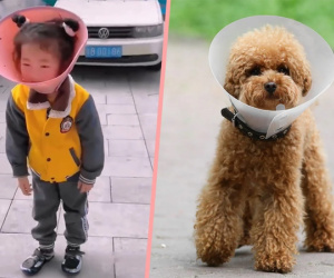 Ông mua đồ cho chó để giúp cháu gái cai nghiện điện thoại, kết quả đem lại khiến tất cả đều bất ngờ