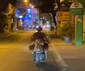 Lật tẩy chiêu trò 'trục lợi tình thương': Ai đang xin quà từ thiện hằng đêm?