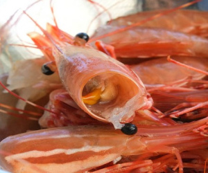Lý do không nên xay đầu tôm nấu canh