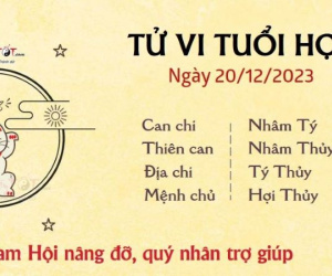 Tử vi 12 con giáp hôm nay - thứ 4 ngày 20/12/2023: Hợi gặp quý nhân, Ngọ coi chừng thị phi