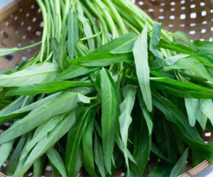 Công dụng của loại rau rẻ bèo ở Việt Nam, bán theo cọng ở Nhật