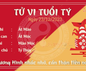 Tử vi thứ 7 ngày 23/12/2023 của 12 con giáp: Tý bình ổn, Hợi ăn lộc