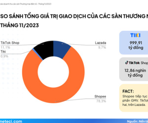 Người tiêu dùng Việt mua hàng nhiều nhất ở sàn thương mại nào?