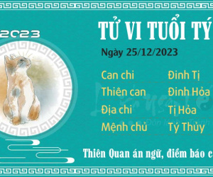 Tử vi thứ 2 ngày 25/12/2023 của 12 con giáp: Thìn cần tập trung, Thân năng suất