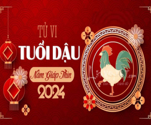 Tử vi tuổi Dậu 2024: Có bước NHẢY VỌT LỚN, công việc hay tiền bạc đều gia tăng mạnh mẽ