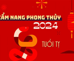 Ảnh bìa bài viết 914472