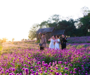 Khám phá thung lũng hoa đẹp như châu Âu giữa lòng Hà Nội