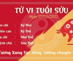 Tử vi 12 con giáp hôm nay - thứ 4 ngày 27/12/2023: Sửu vướng thị phi, Mão gặp quý nhân