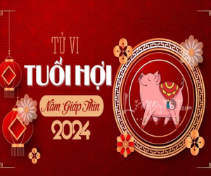 Tử vi tuổi Hợi 2024: Tình tiền tỷ lệ NGHỊCH, đào hoa phơi phới nhưng tiền bạc kém may