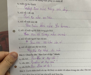 'Sang chấn' với những phiếu ôn tập học kỳ: Chú gà trống ngáy to như con lợn, nhưng đến đoạn tả cây đào mới cười ná thở