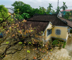 Ghé thăm ngôi nhà vườn danh tiếng ở Cố đô Huế