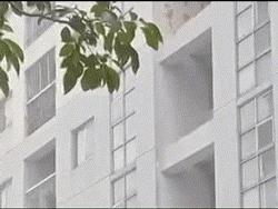 Người đàn ông nhảy từ tầng 5  xuống đất, nhiều người ngỡ ngàng