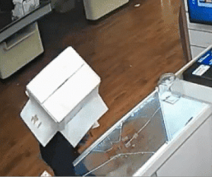 Đội thùng carton đi trộm điện thoại, người đàn ông nhận kết đắng