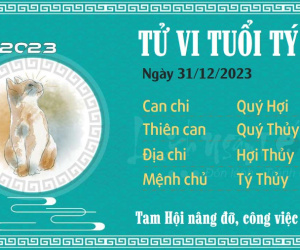 Tử vi chủ nhật ngày 31/12/2023 của 12 con giáp: Mão phát huy, Tị bao đồng