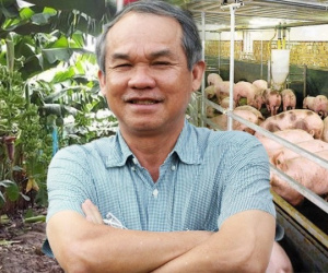 Bầu Đức muốn bán tiếp chuỗi heo ăn chuối