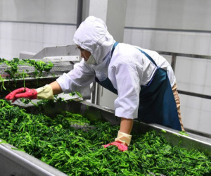Xuất khẩu 26 tỷ USD, Việt Nam là trung tâm chế biến sâu của nông nghiệp thế giới