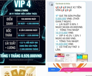 Cả ngàn người sập bẫy app đa cấp VN-Temu