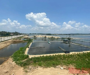 Người đàn ông bị bò đá rơi xuống hồ tôm tử vong