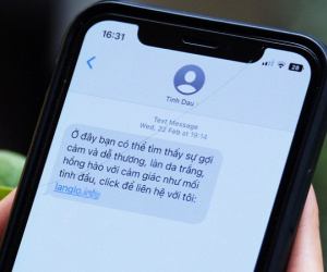 Người Việt thiệt hại trung bình gần 20 triệu đồng khi bị lừa đảo online