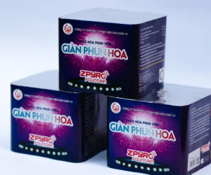Pháo hoa Bộ Quốc phòng Tết 2024: Mua ở đâu? Có được mua để kinh doanh kiếm lời?