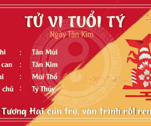 Tử vi thứ 2 ngày 8/1/2024 của 12 con giáp: Sửu vất vả, Thìn gặp lợi thế