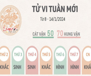 Tử vi tuần mới của 12 con giáp từ 8 - 14/1/2024: Tý khó khăn, Dần hăng hái